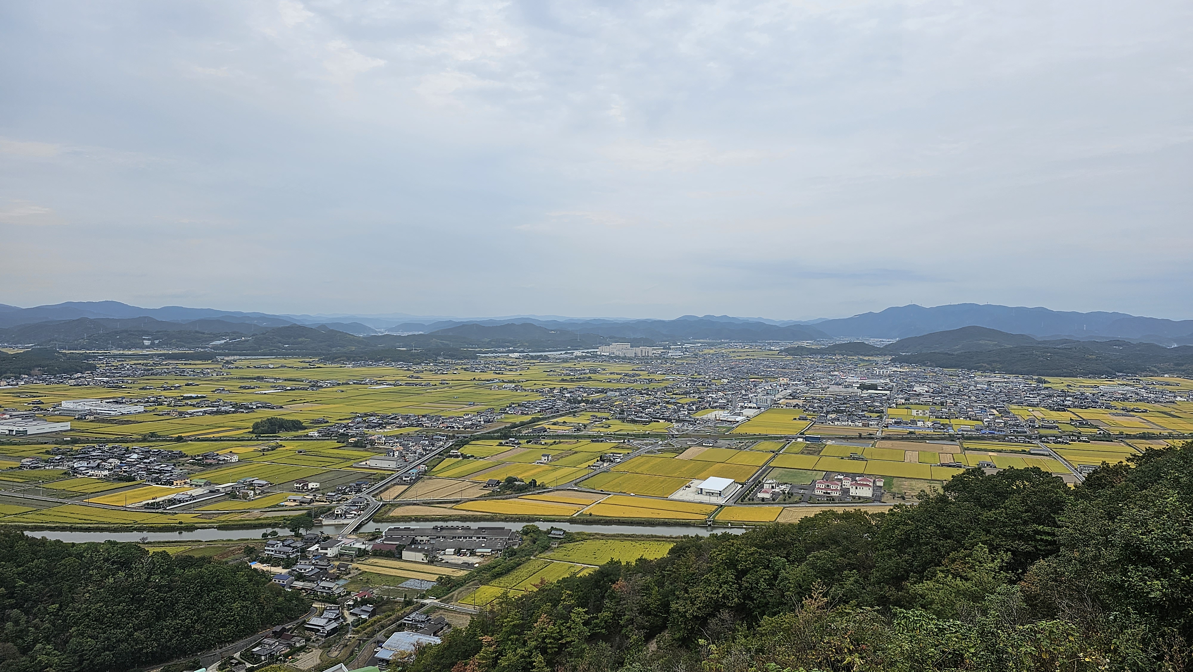 産業振興